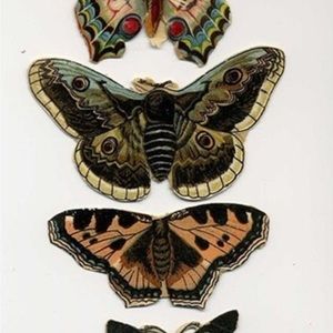 Meet your Posher, Loui